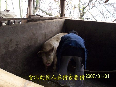 dvubb 按此在新窗口浏览图片