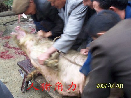 dvubb 按此在新窗口浏览图片