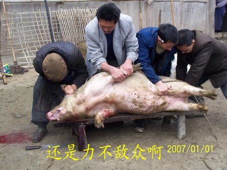dvubb 按此在新窗口浏览图片