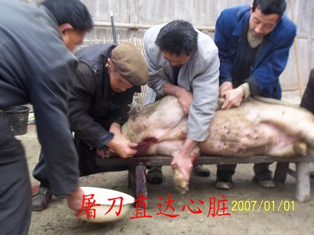 dvubb 按此在新窗口浏览图片