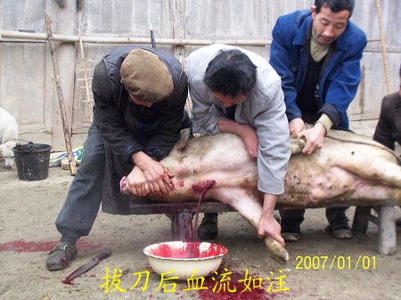 dvubb 按此在新窗口浏览图片