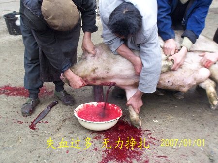 dvubb 按此在新窗口浏览图片