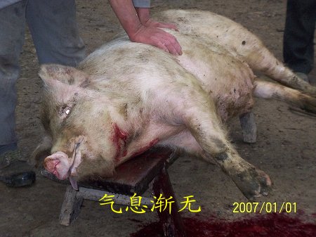dvubb 按此在新窗口浏览图片