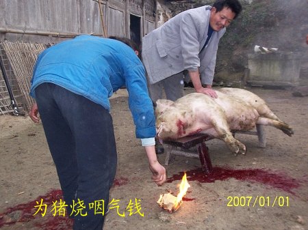dvubb 按此在新窗口浏览图片