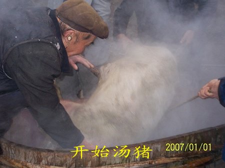 dvubb 按此在新窗口浏览图片