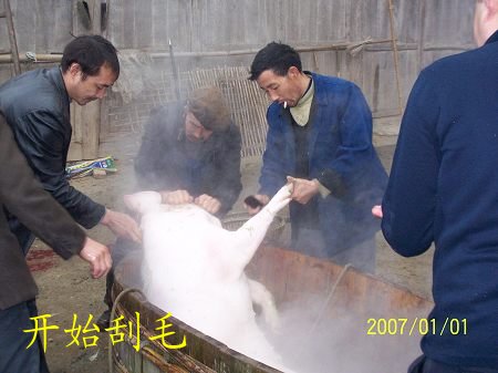 dvubb 按此在新窗口浏览图片
