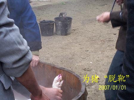 dvubb 按此在新窗口浏览图片
