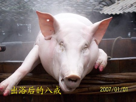 dvubb 按此在新窗口浏览图片