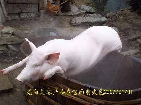 dvubb 按此在新窗口浏览图片