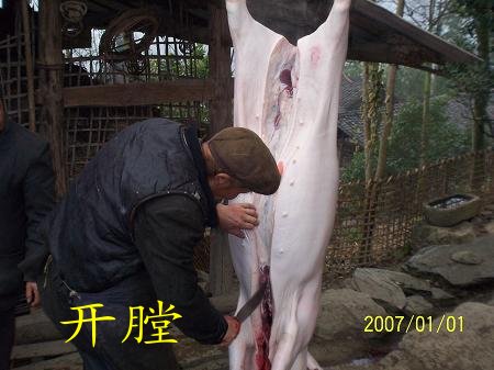 dvubb 按此在新窗口浏览图片