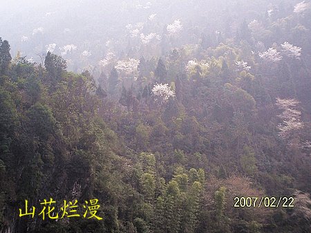 dvubb 按此在新窗口浏览图片