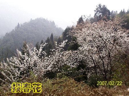 dvubb 按此在新窗口浏览图片