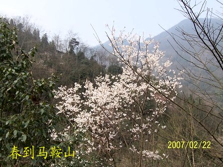 dvubb 按此在新窗口浏览图片