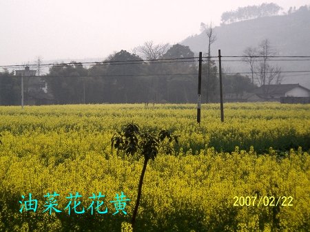 dvubb 按此在新窗口浏览图片