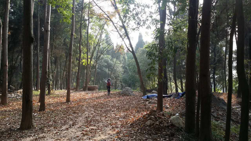 dvubb 按此在新窗口浏览图片