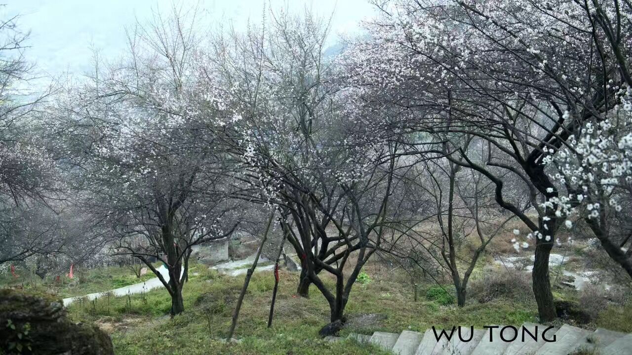 dvubb 按此在新窗口浏览图片