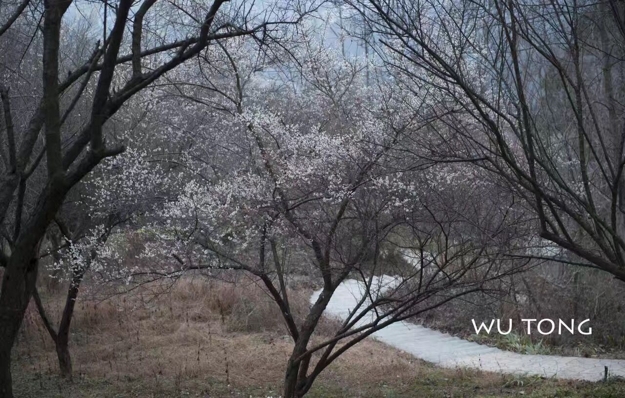 dvubb 按此在新窗口浏览图片