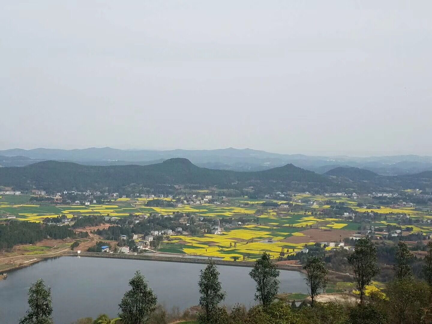 dvubb 按此在新窗口浏览图片